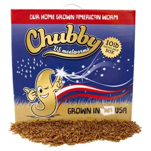 10 lbs. Chubby US Grown Dried Mealworms