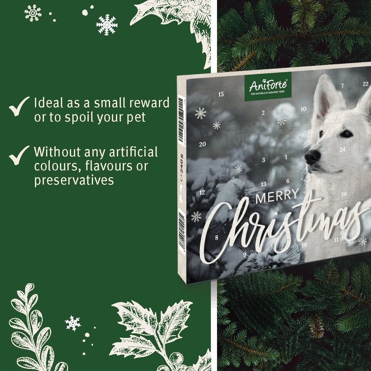 Advent Calendar "Merry Christmas" for Dogs