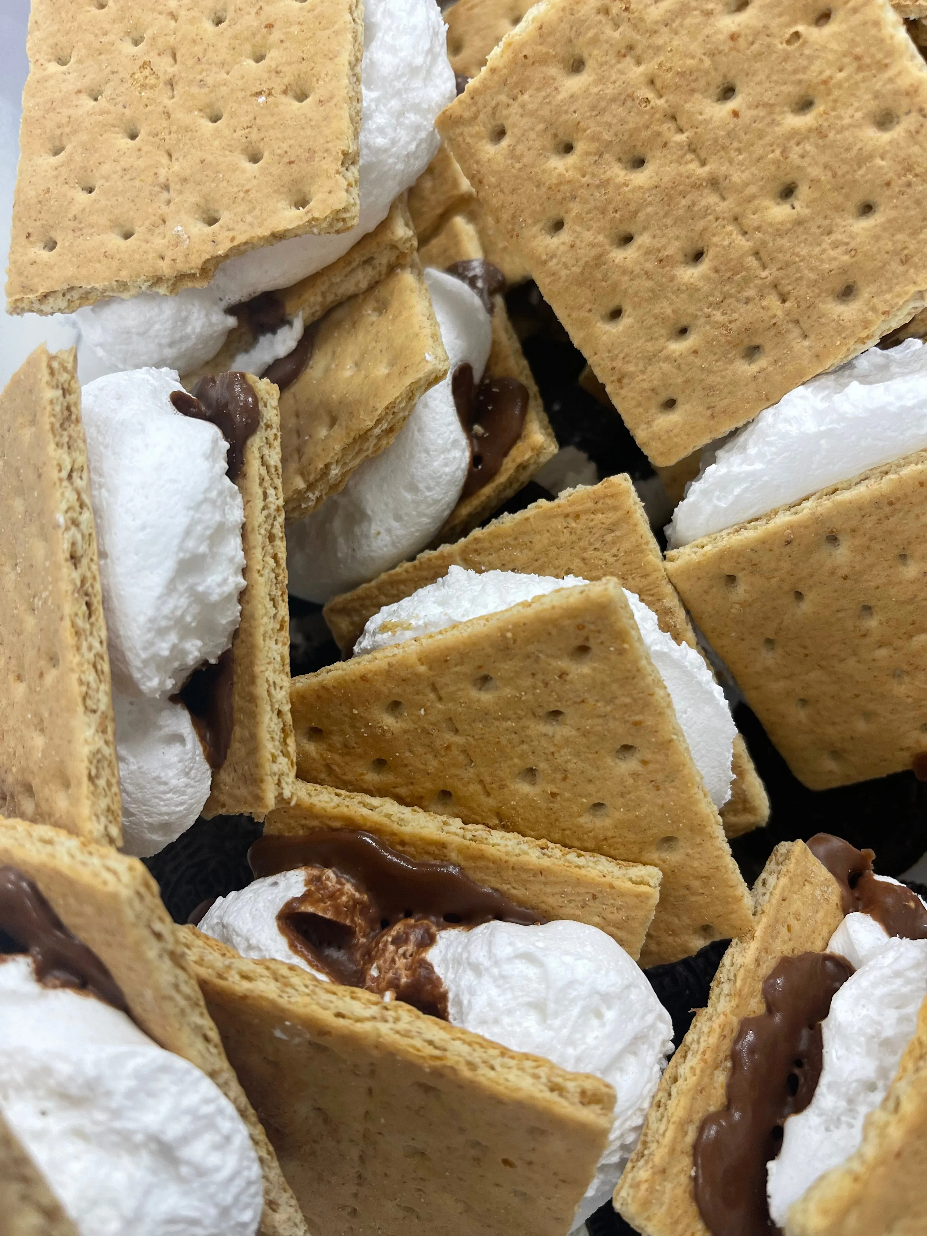 Freeze Dried Give Me Smores Snack