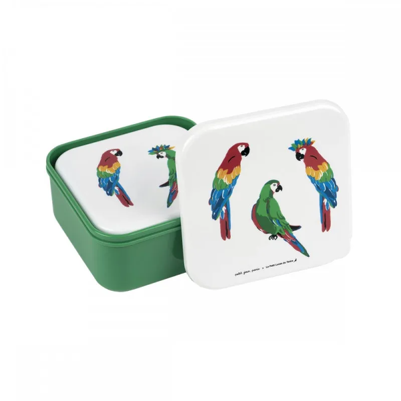 Maison petit jour paris trio lunchboxes parroquets  18m