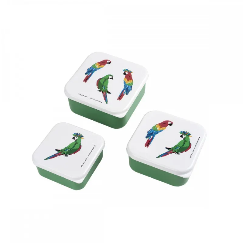 Maison petit jour paris trio lunchboxes parroquets  18m