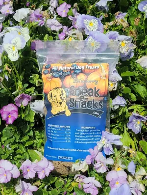 Sneak-e-Snacks Pumpkin & Blueberry Dog Treats